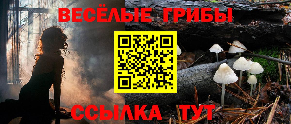 Псилоцибиновые грибы мицелий  Галлюциногенные грибы Magic Shrooms  Вход с VPN  Семёнов 